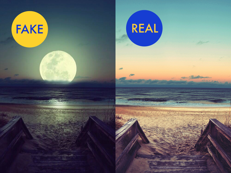 Illustration for article titled 11 More Fake Viral Images